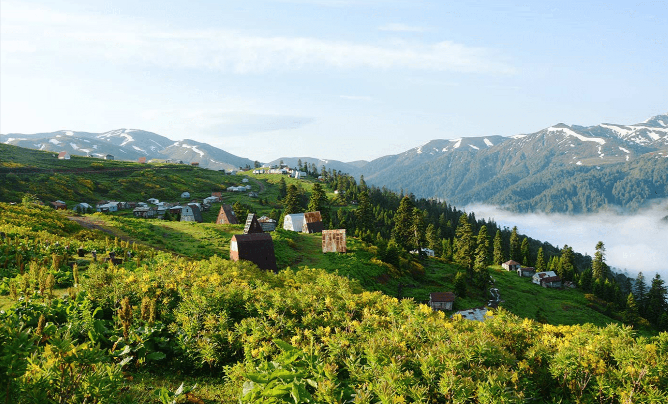 Wildlife and Hiking Routes in Kintrishi Protected Area near Kobuleti